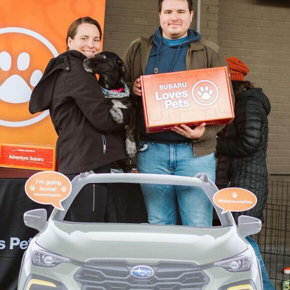 Meet your Posher, Beth - Picture 5 of 8